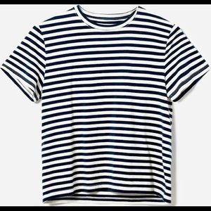 Everlane Striped Tee